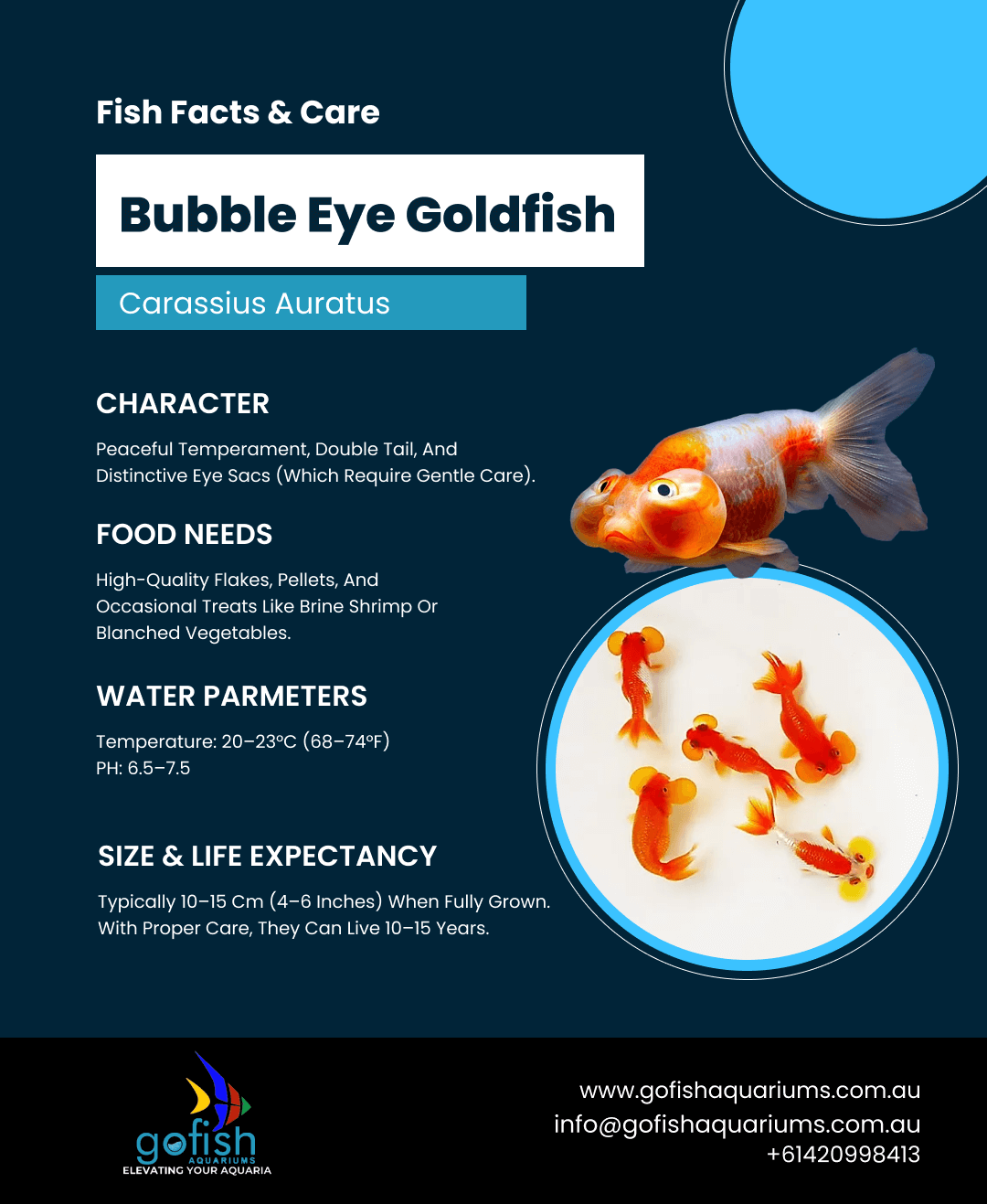 Bubble Eye Mix