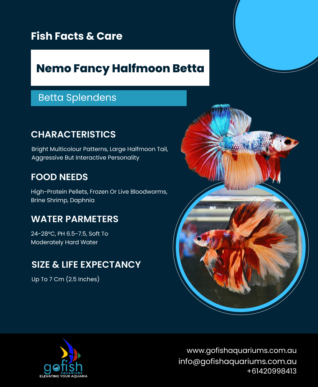 Nemo Fancy Halfmoon
