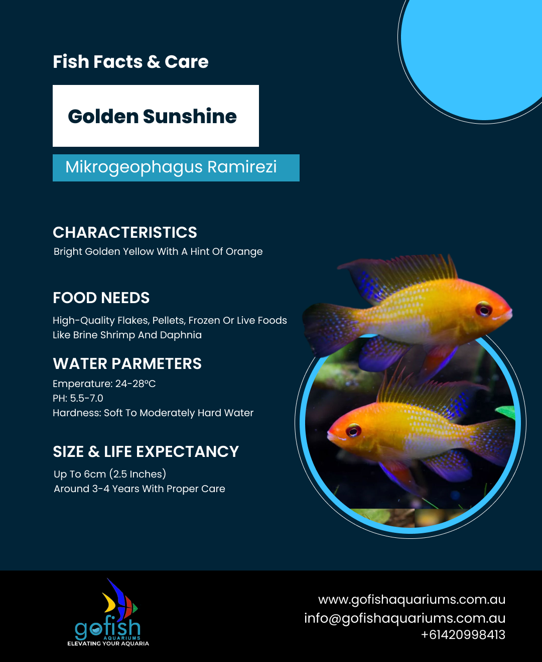 Golden Sunshine