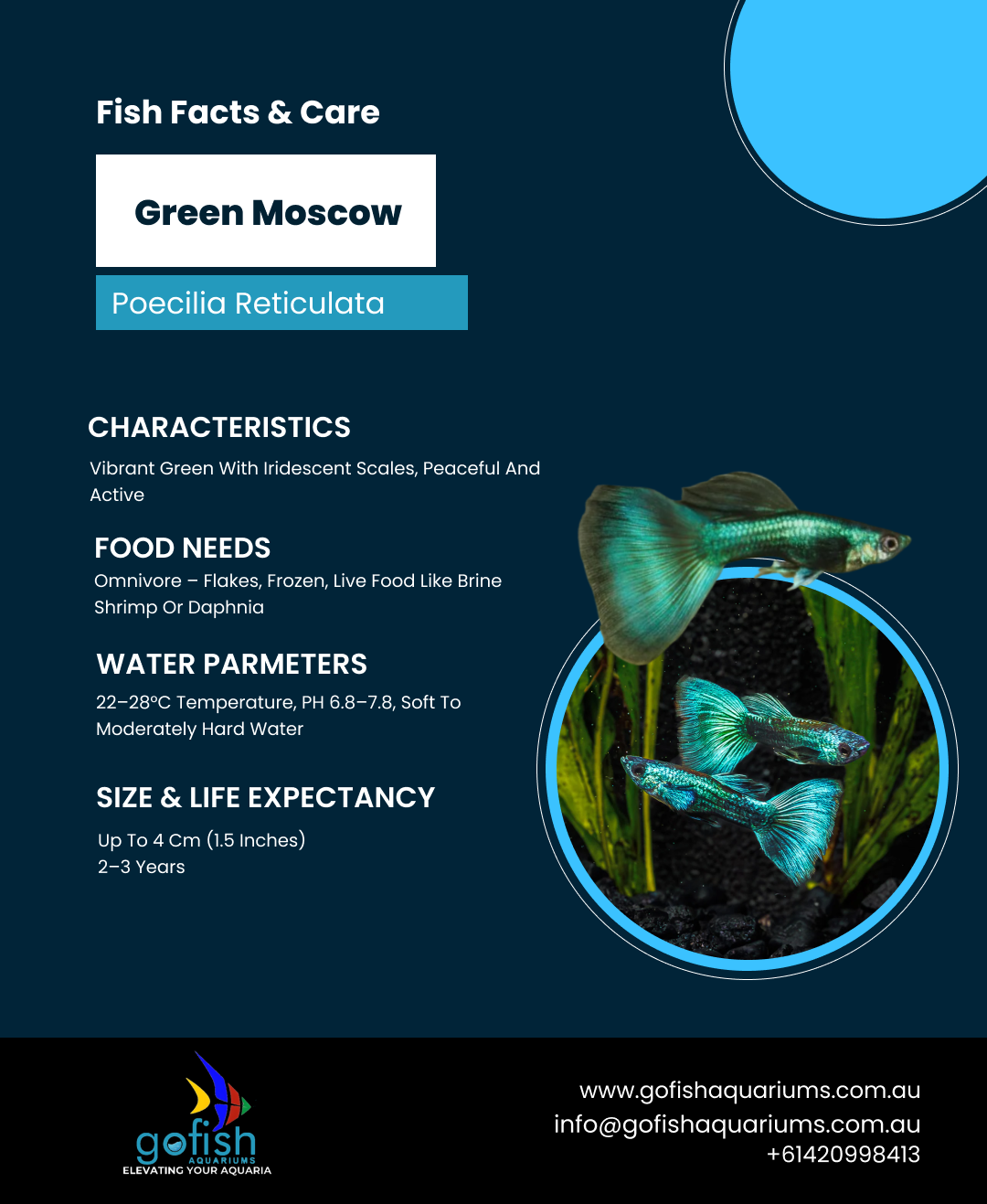 Green Moscow