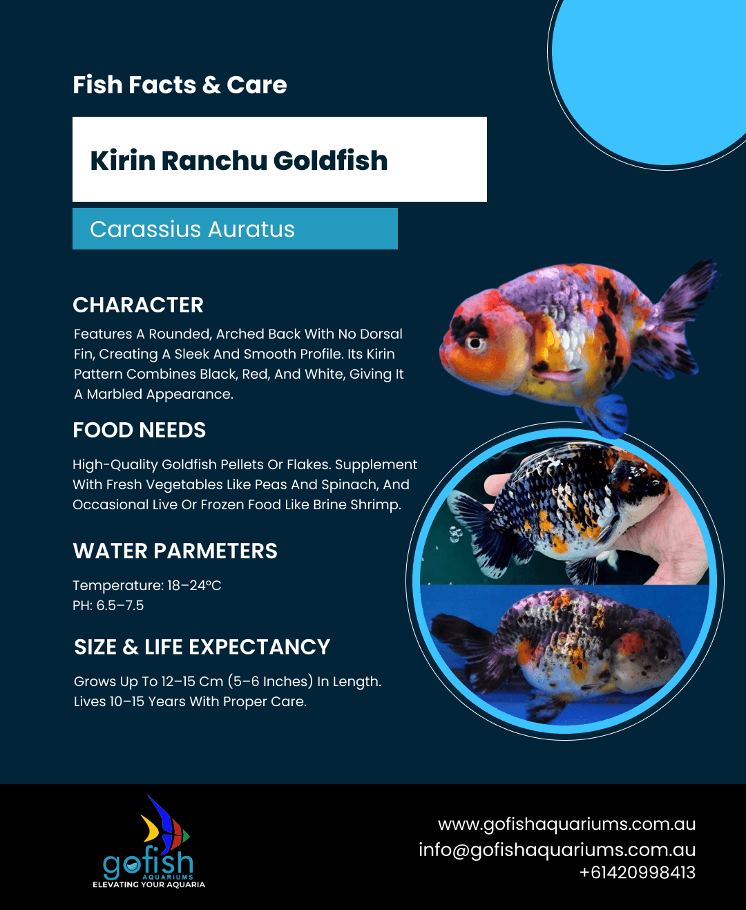 Kirin Ranchu