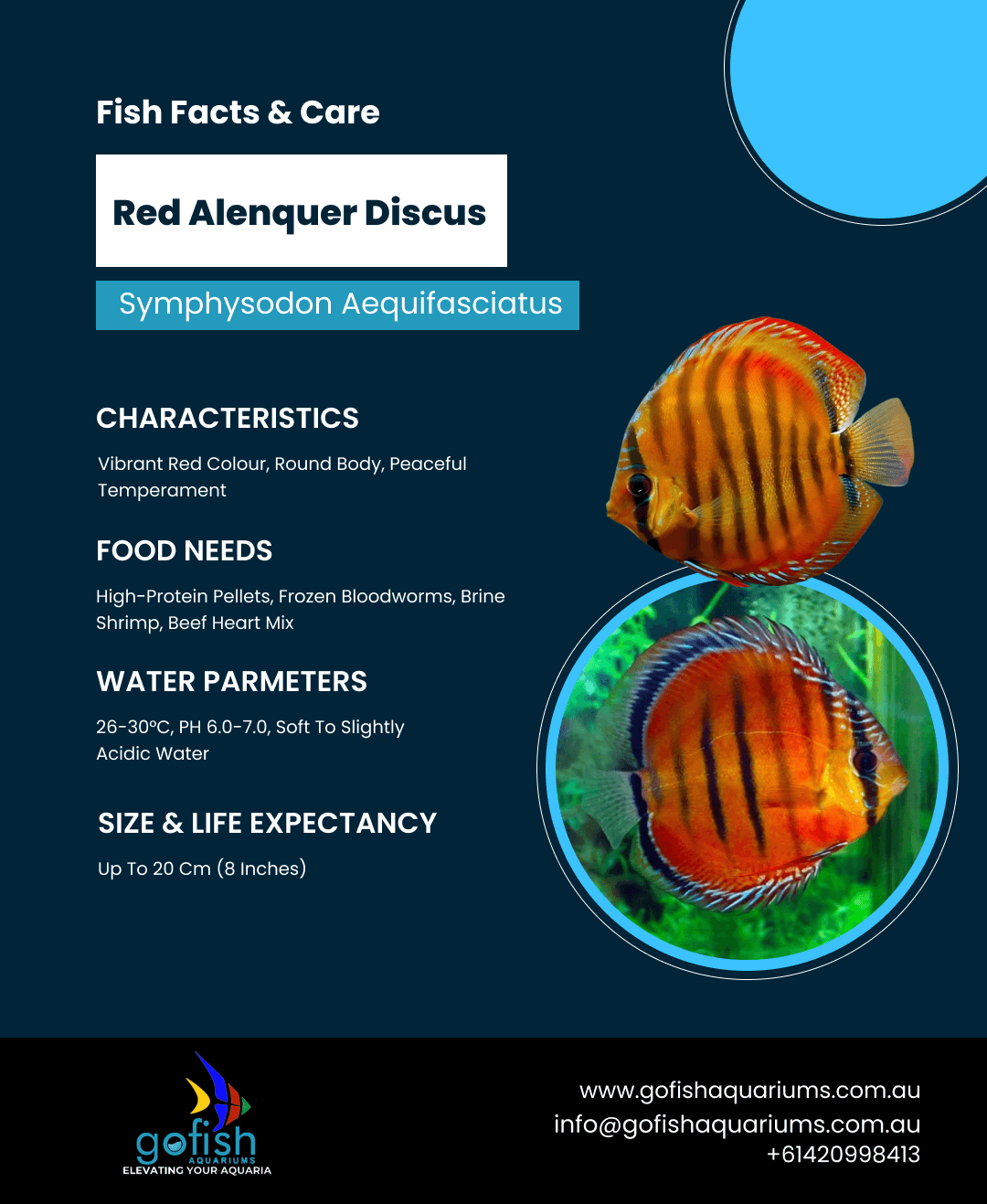 Red Alenquer
