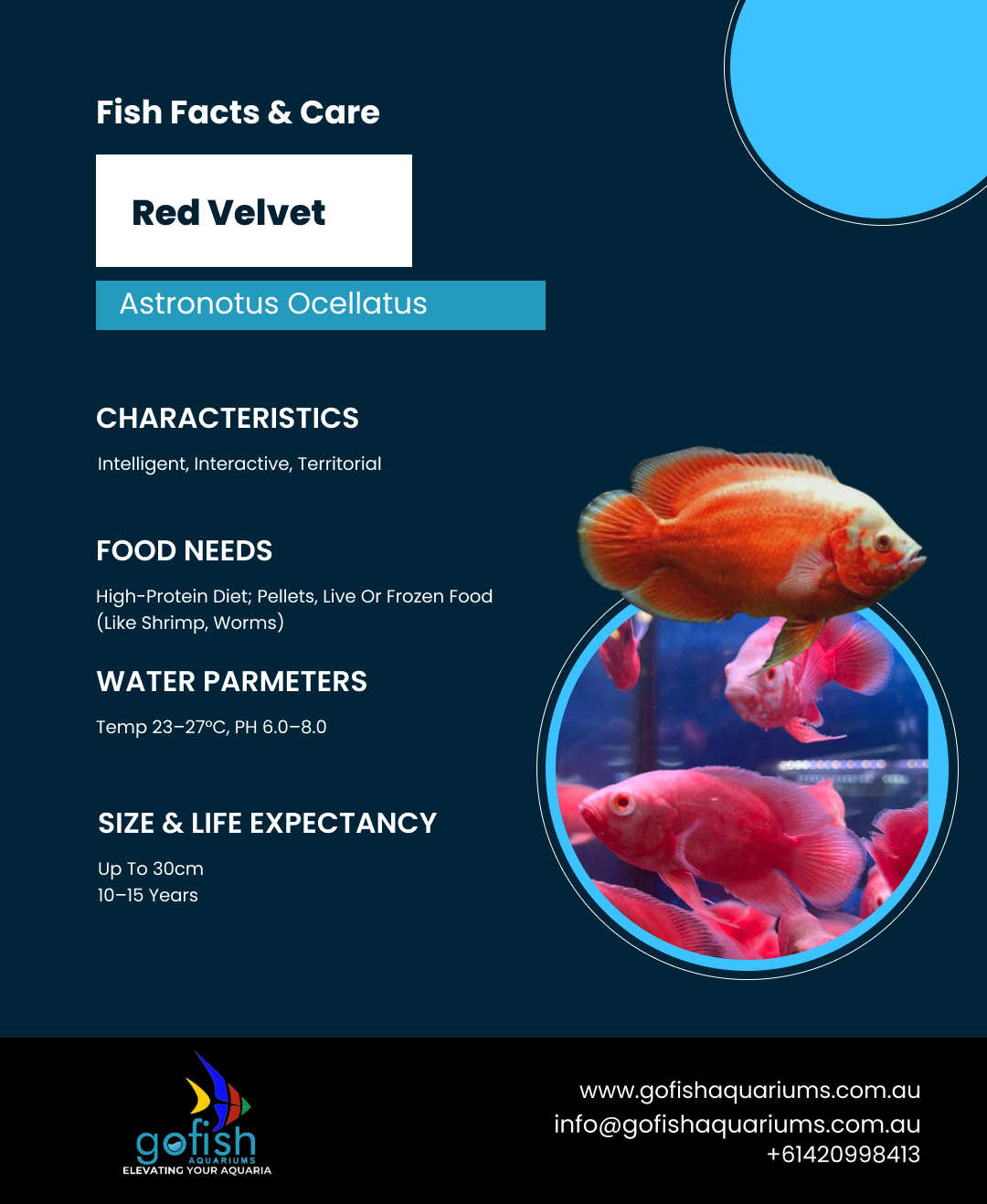 Red Velvet Oscar