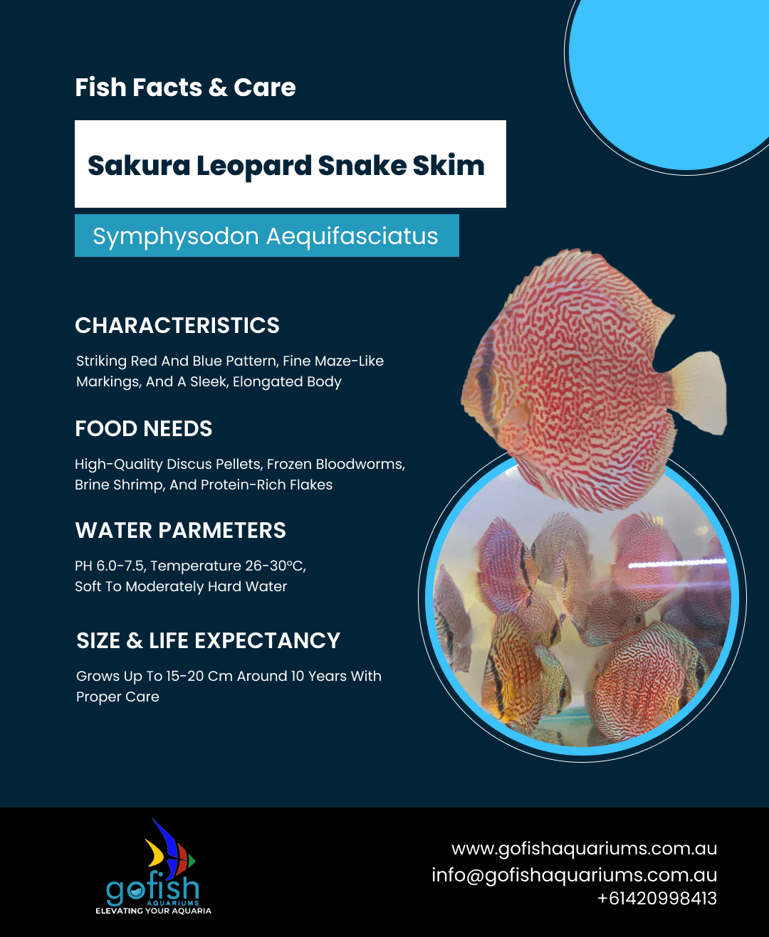 Sakura Leopard Snake Skin