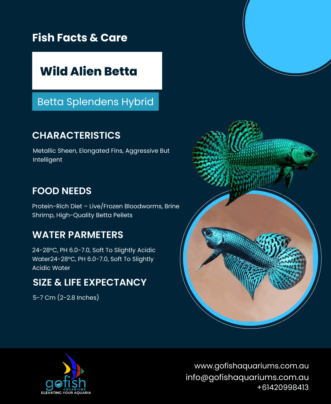 Wild Alien Betta