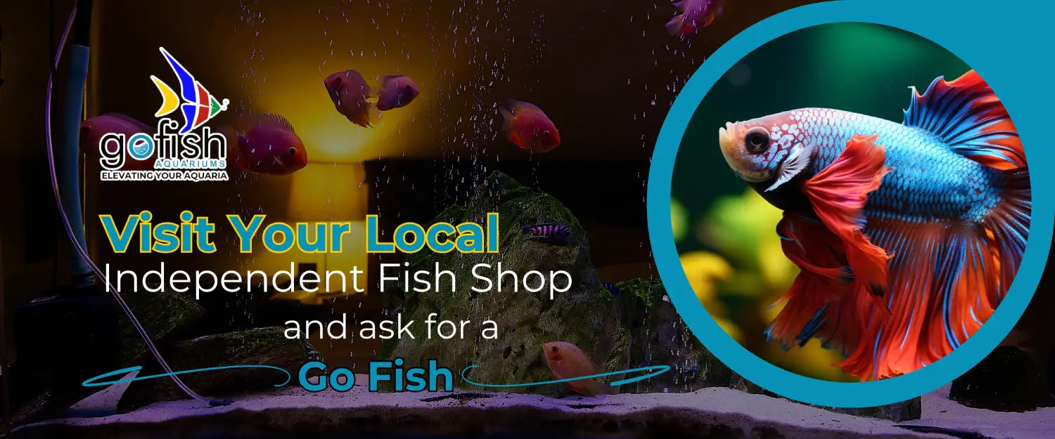 go fish banner