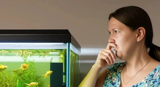 Goldfish Tank Smelly