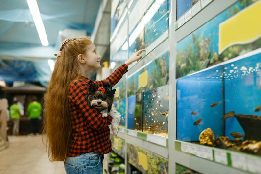 Reputable Fish Wholesaler