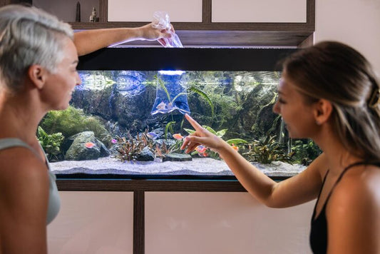 fish acclimated to a new aquarium environment