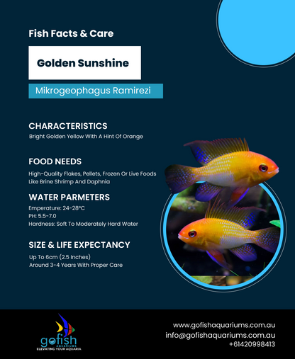 Golden Sunshine