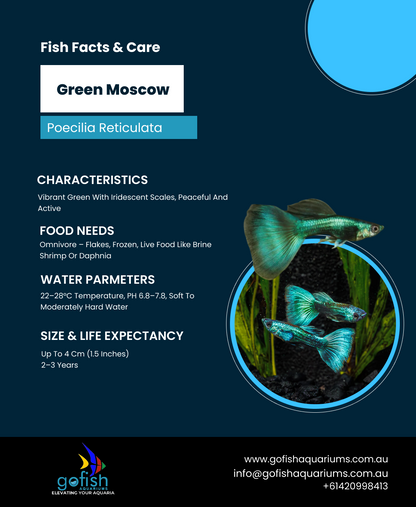 Green Moscow