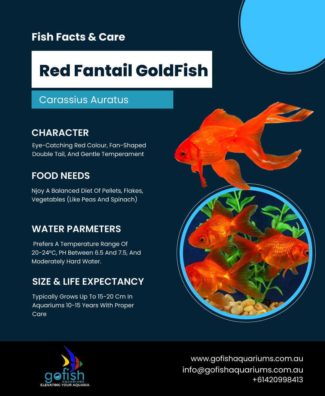 Red Fantail