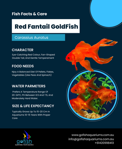 Red Fantail