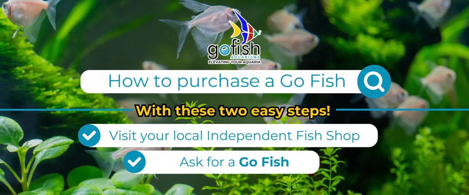 go fish banner