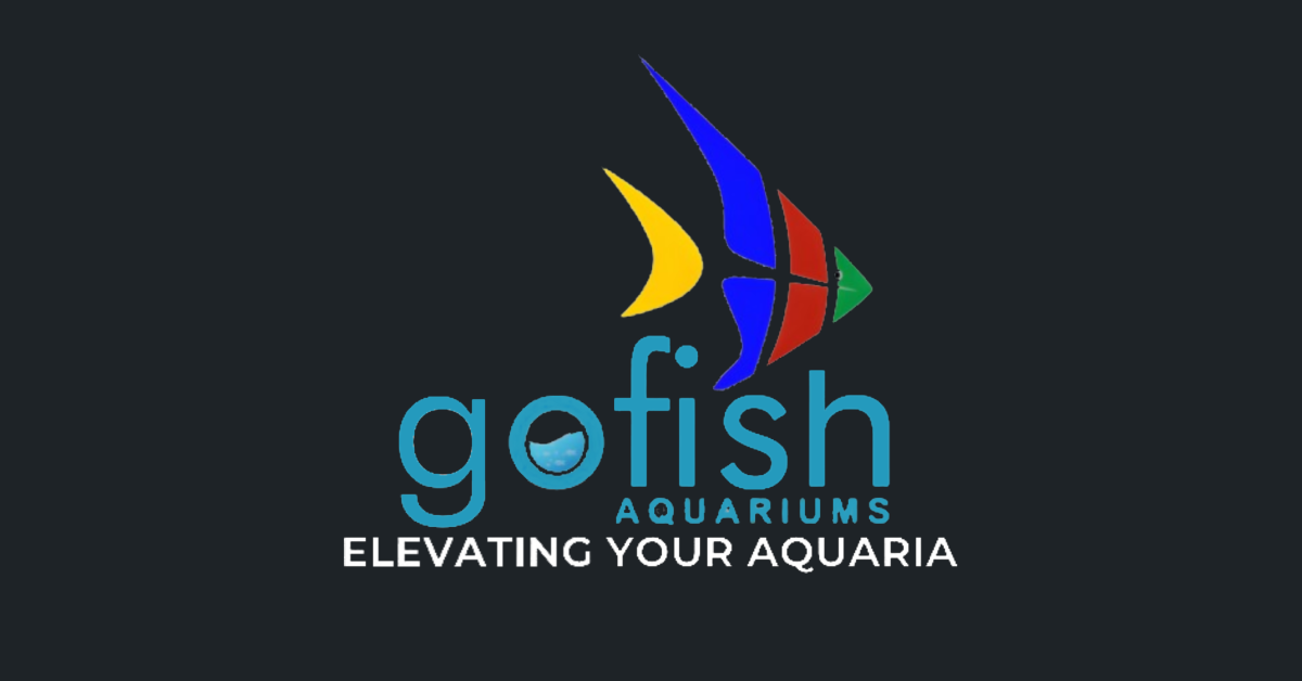 Live Aquarium Fish - Aquarium Store – Go Fish Aquariums